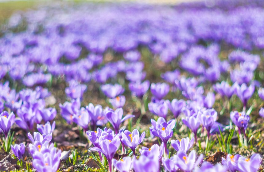 Аномально теплая погода продержится в Москве до выходных 6 фото