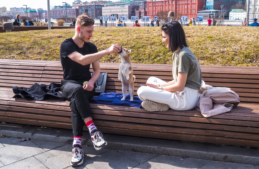 Аномально теплая погода продержится в Москве до выходных 24 фото