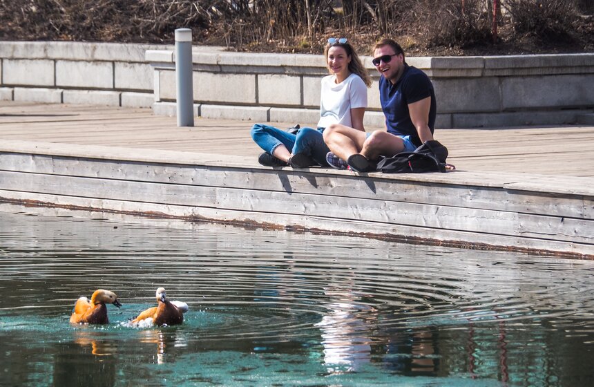Аномально теплая погода продержится в Москве до выходных 3 фото