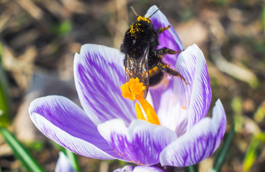 Аномально теплая погода продержится в Москве до выходных 20 фото