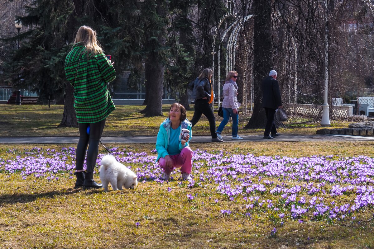 В чем сейчас ходят в москве в такую погоду