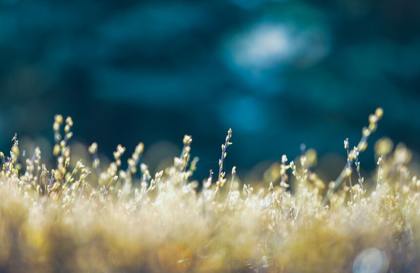 Аномально теплая погода продержится в Москве до выходных 28 фото