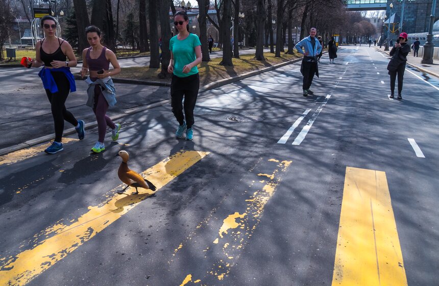 Аномально теплая погода продержится в Москве до выходных 13 фото