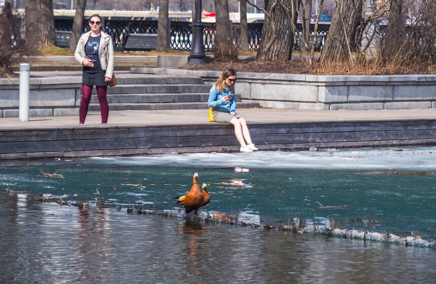 Аномально теплая погода продержится в Москве до выходных 15 фото