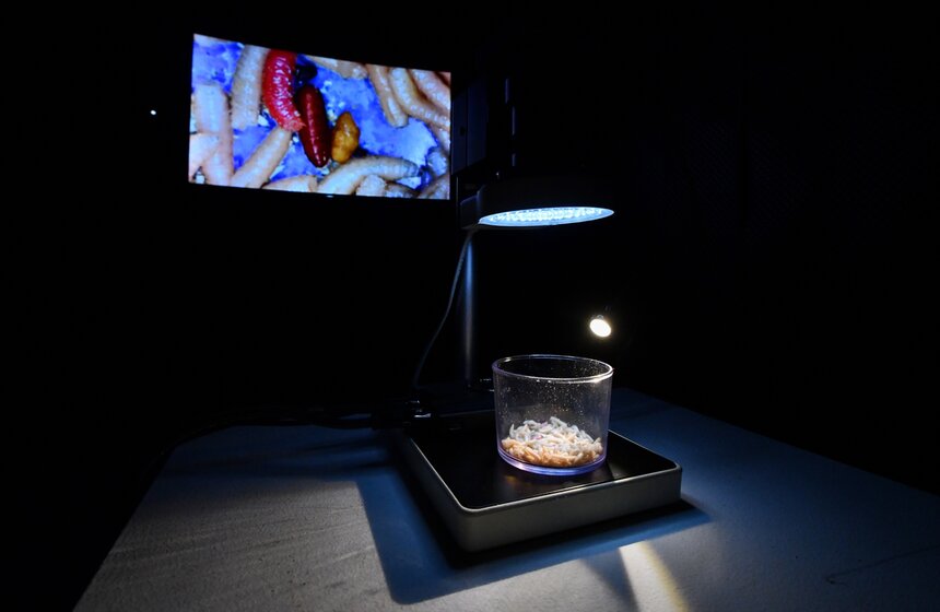 Фестиваль цифрового искусства EMA EXPO 2021 открылся в Москве 3 фото