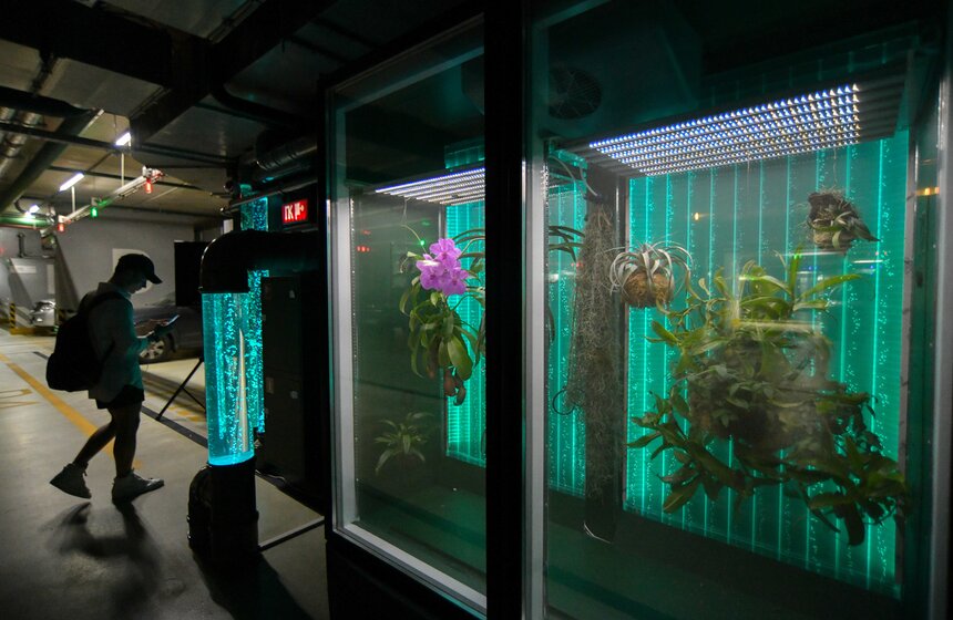 В "Зарядье" появилась инсталляция Марины Звягинцевой 5 фото