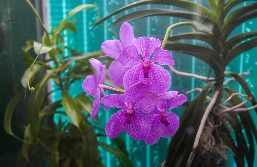 В "Зарядье" появилась инсталляция Марины Звягинцевой 4 фото