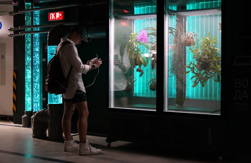 В "Зарядье" появилась инсталляция Марины Звягинцевой 2 фото