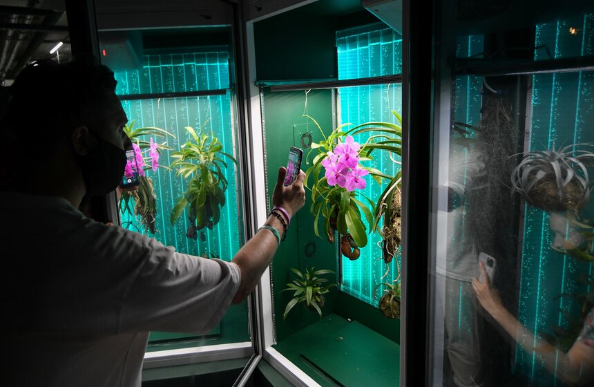 В "Зарядье" появилась инсталляция Марины Звягинцевой 12 фото