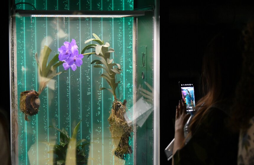 В "Зарядье" появилась инсталляция Марины Звягинцевой 9 фото