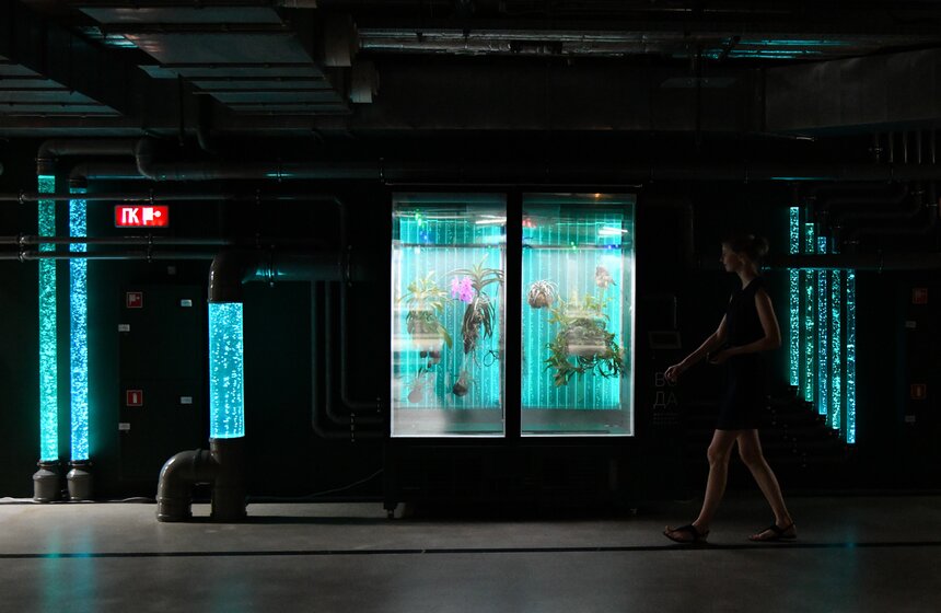 В "Зарядье" появилась инсталляция Марины Звягинцевой 11 фото