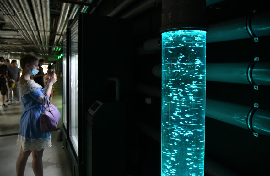 В "Зарядье" появилась инсталляция Марины Звягинцевой 10 фото