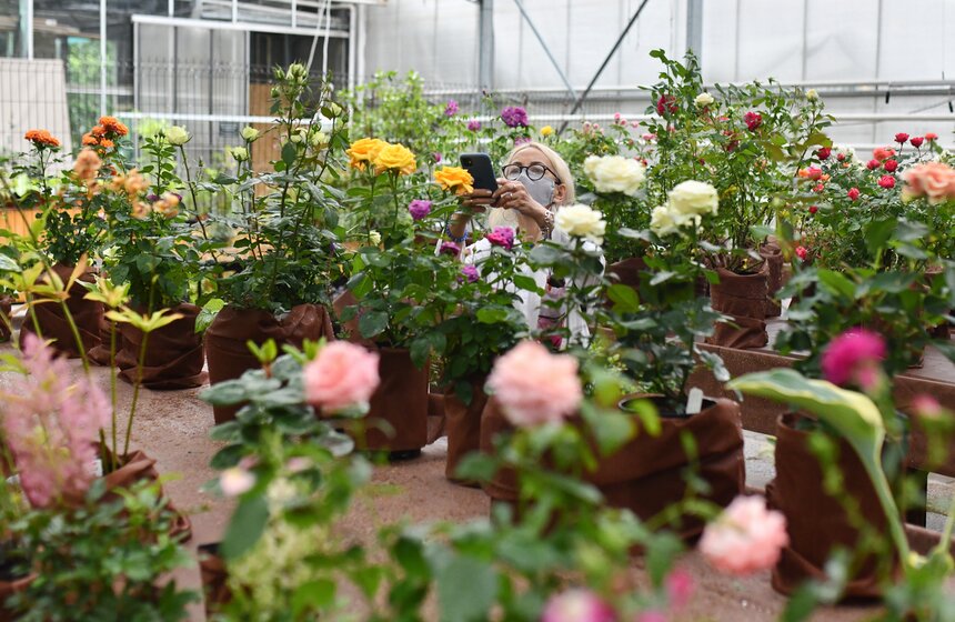 В "Аптекарском огороде" открылась выставка роз 8 фото