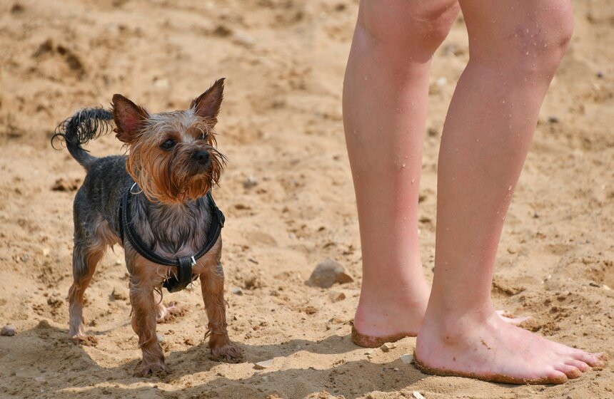 В Москве продолжается аномальная жара 8 фото