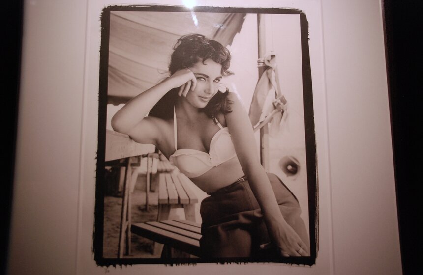 Международный салон изящных искусств проходит в Москве 28 фото