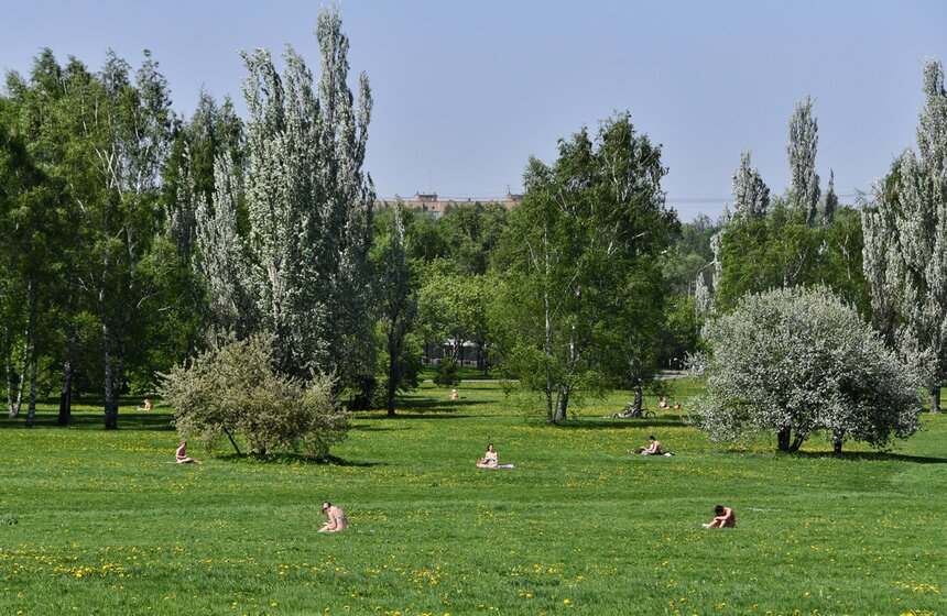 В "Коломенском" зацвели яблоневые сады 24 фото