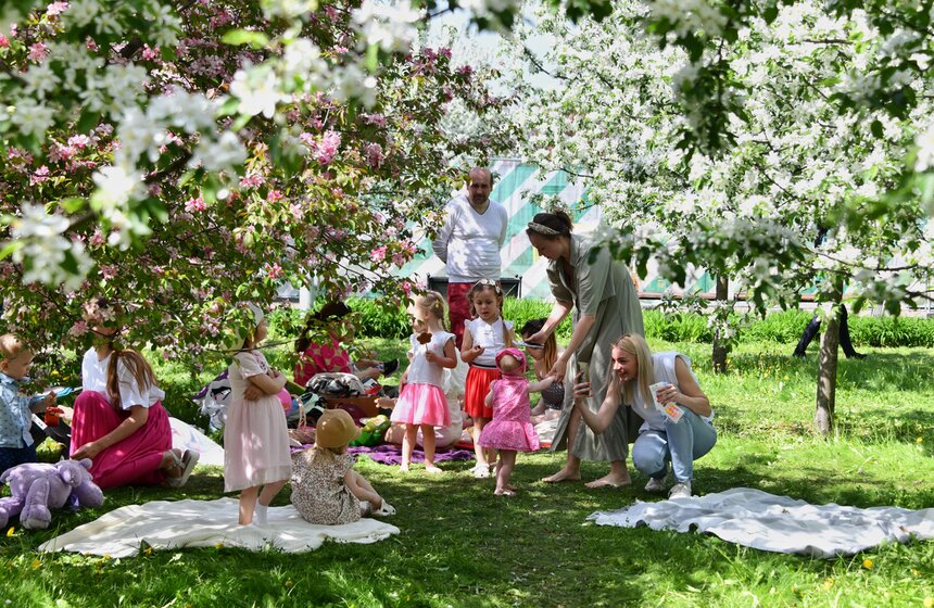 В "Коломенском" зацвели яблоневые сады 10 фото