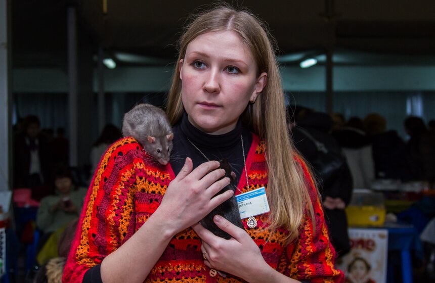 В Москве состоялась выставка грызунов "Усатые Звезды II 2013" 18 фото