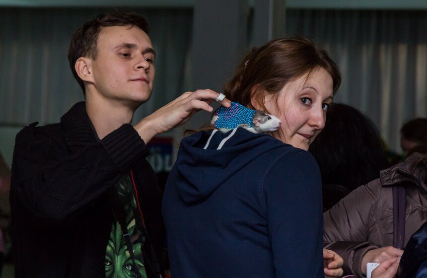 В Москве состоялась выставка грызунов "Усатые Звезды II 2013" 5 фото