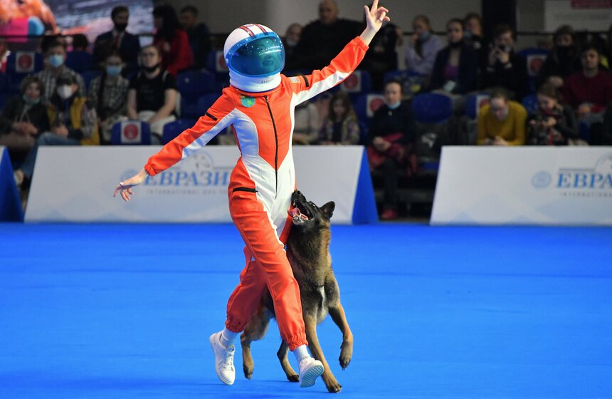 Выставка собак "Евразия 2021" прошла в Москве 3 фото