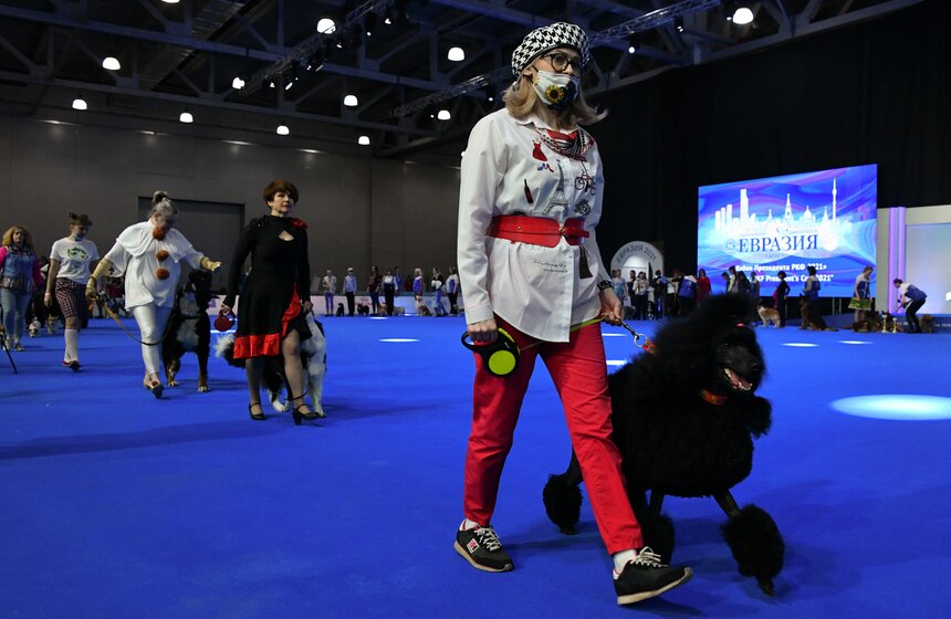 Выставка собак "Евразия 2021" прошла в Москве 19 фото