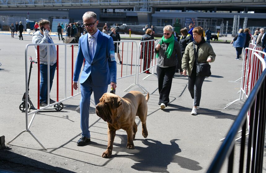 Выставка собак "Евразия 2021" прошла в Москве 8 фото