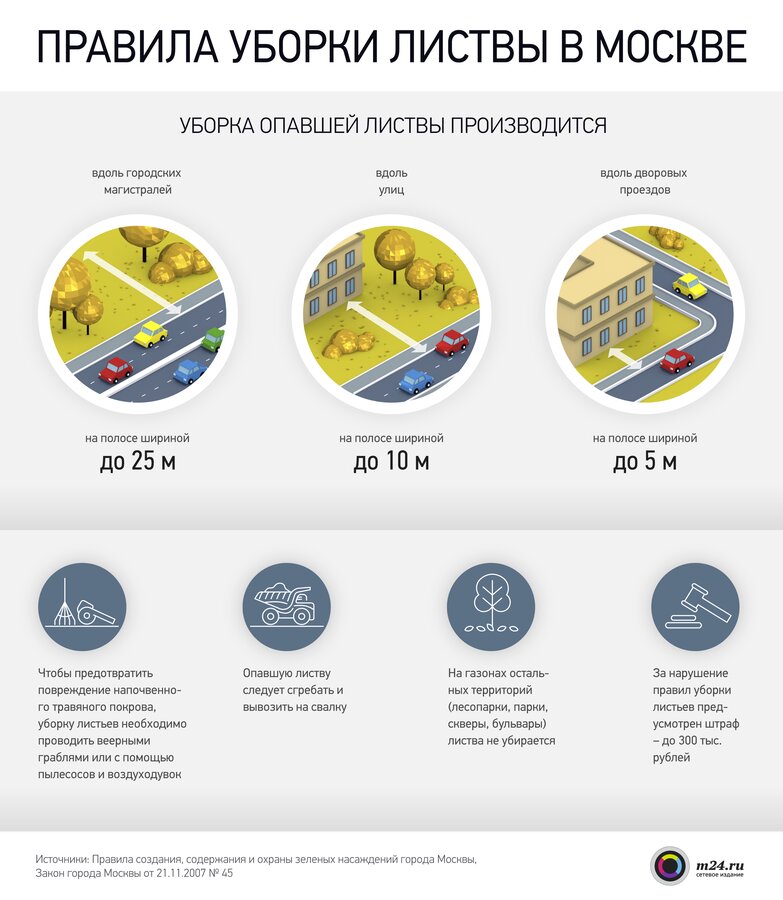 Правила уборки листвы в Москве