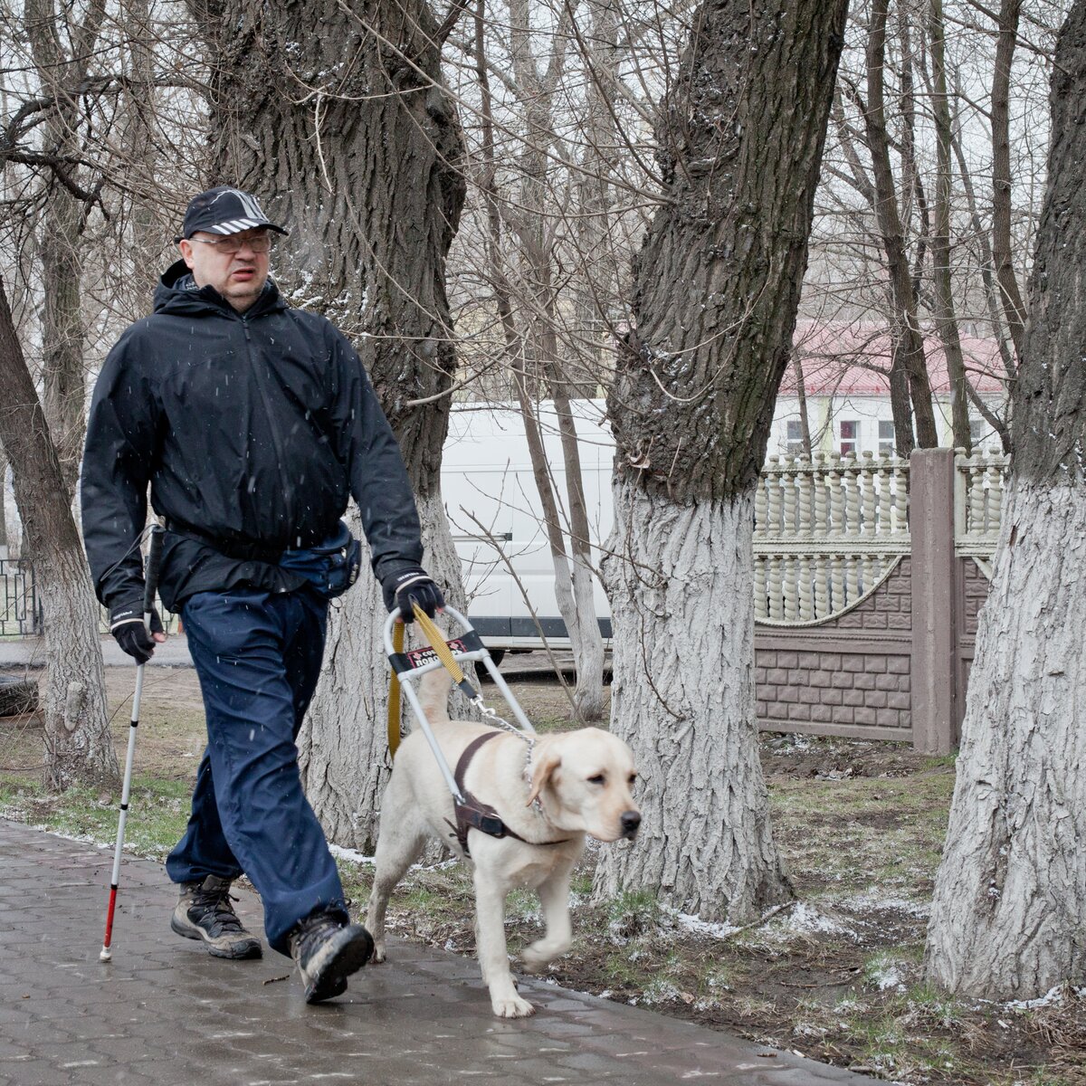 Слепой человек поводырь