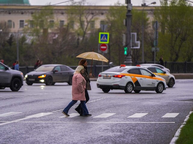 Синоптик Позднякова: около 3–8 мм осадков выпадет в Москве 27 апреля