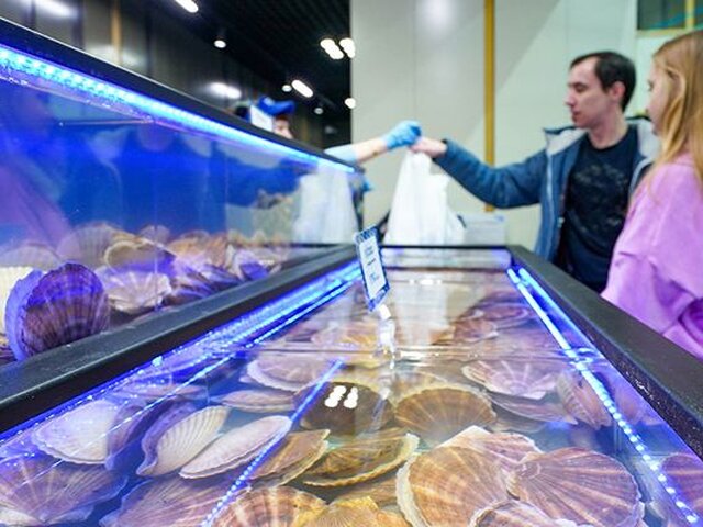 Почти 30 тонн моллюсков реализовали за 4 месяца работы рынка 