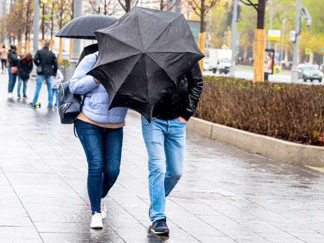 Дождь и сильный ветер ожидаются в Москве 19 апреля