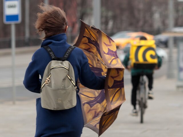 Желтый уровень погодной опасности из-за ветра объявлен в Москве на 19 апреля