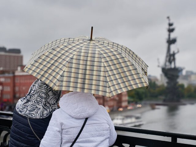 Дождь с грозой и сильный ветер ожидаются в Москве 25 апреля