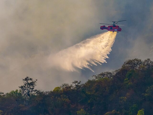 21 лесной пожар зафиксирован вблизи населенных пунктов России