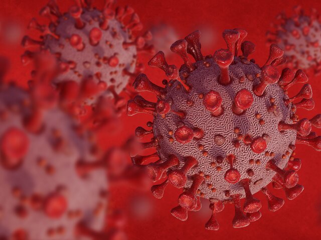 Вирусолог Карпова рассказала, опасен ли новый вариант коронавируса FLiRT