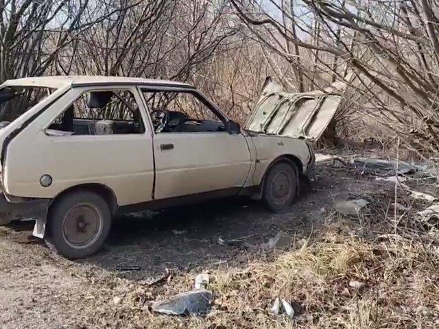 Член избиркома погибла при подрыве машины в Бердянске