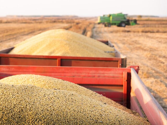 В ЕК изучают возможность ограничения импорта сельхозпродукции РФ