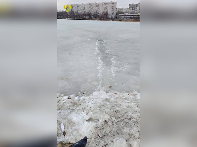 Провалившаяся под лед на Гольяновском пруду женщина скончалась