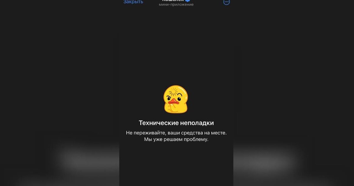 ошибка с сетью в криптокошельке