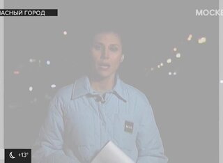 МВД напомнило об ответственности за выращивание вьюнка