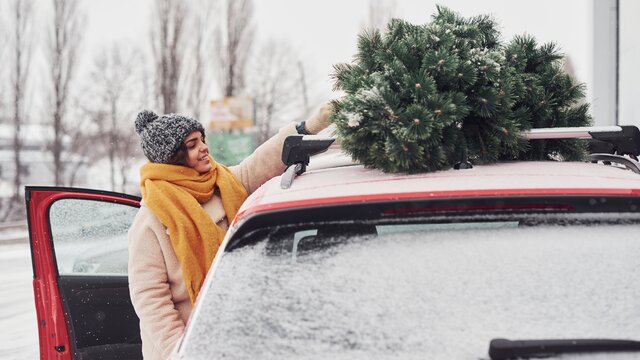 Юрист Билялова: за неправильную перевозку ели россиянам грозит штраф