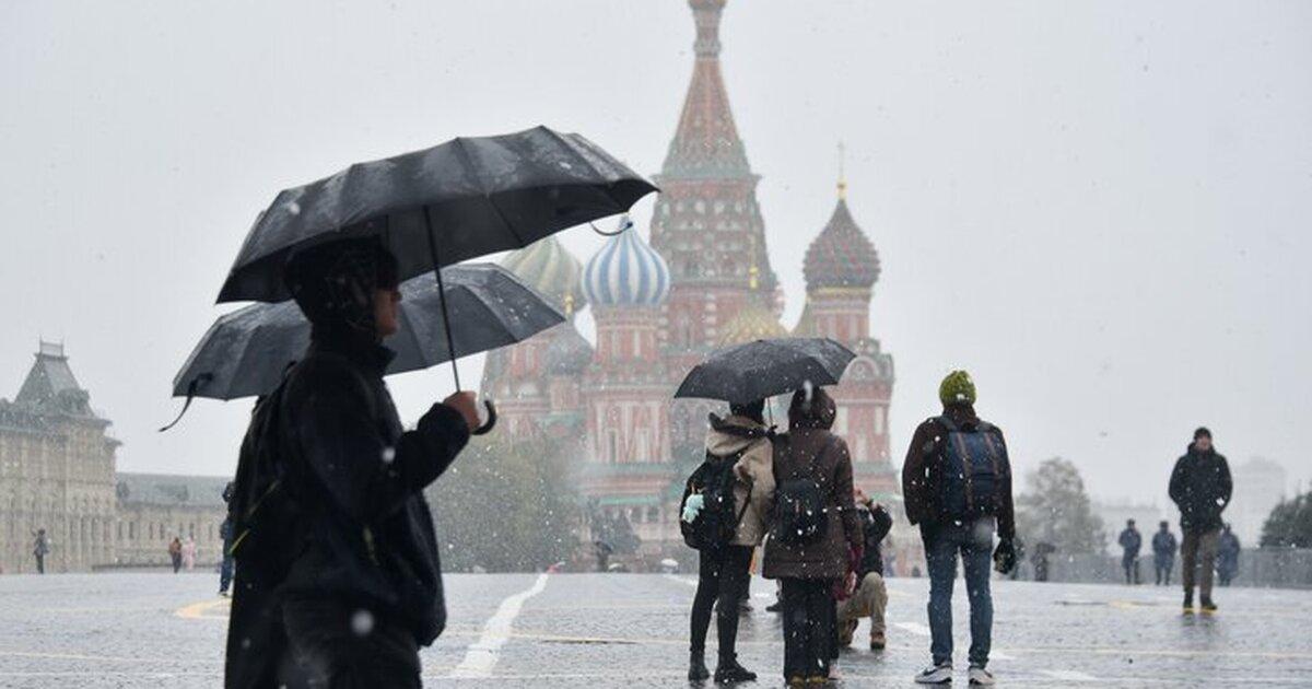 ЦОДД призвал водителей к внимательности из-за мокрого снега и дождя в Москве ЦОДД призвал водителей к внимательности из-за мокрого снега и дождя в Москве