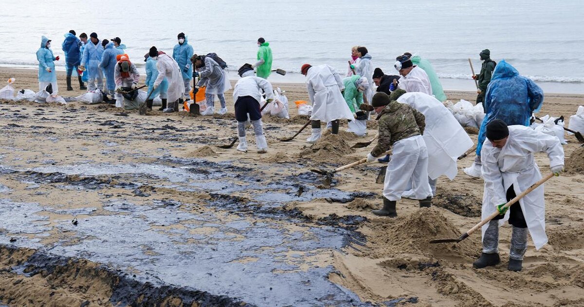ущерб от мазута для морской экосистемы у Севастополя будет понятен к лету ущерб от мазута для морской экосистемы у Севастополя будет понятен к лету