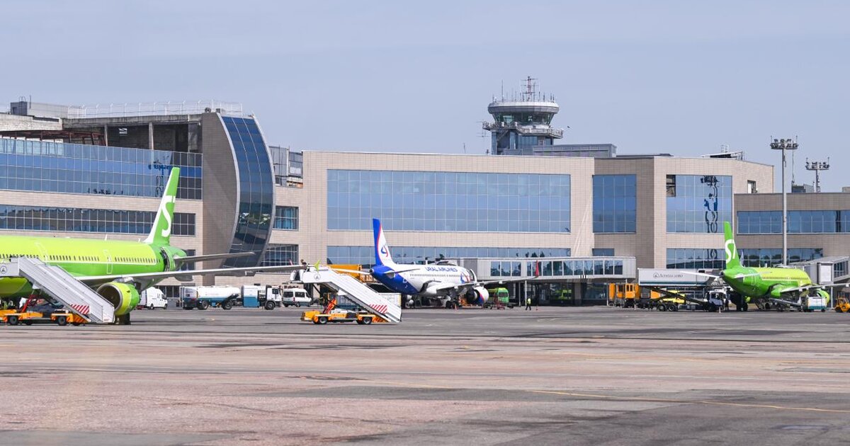 Временные ограничения введены в аэропорту Домодедово Временные ограничения введены в аэропорту Домодедово