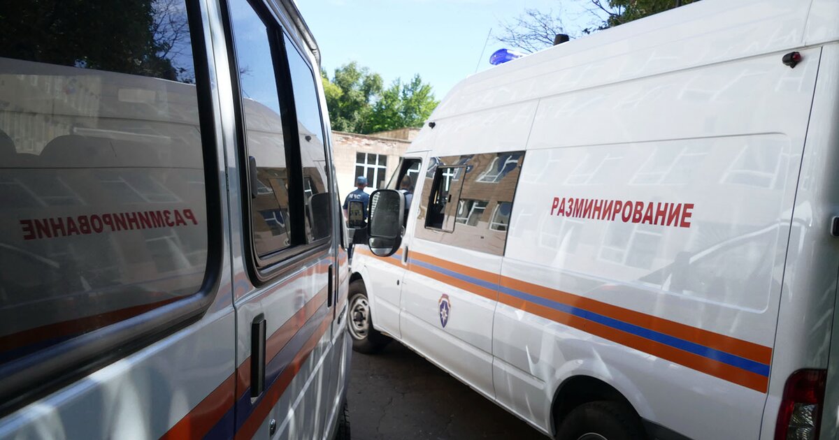 Взрывоопасные предметы обезвреживают на автодороге в Ленобласти Взрывоопасные предметы обезвреживают на автодороге в Ленобласти