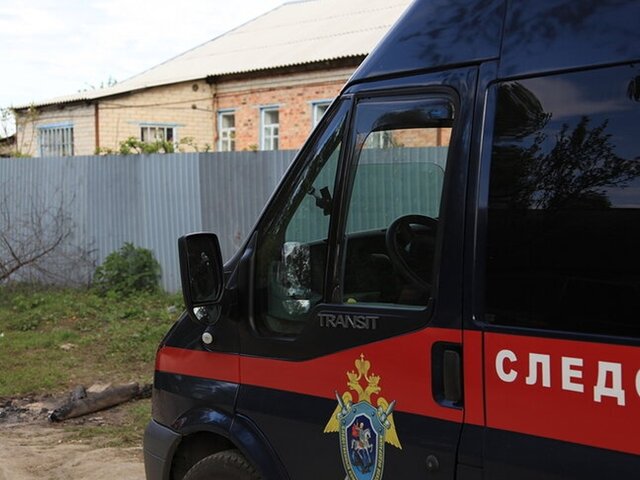 Мужчина проломил череп пятилетней девочке в Липецкой области
