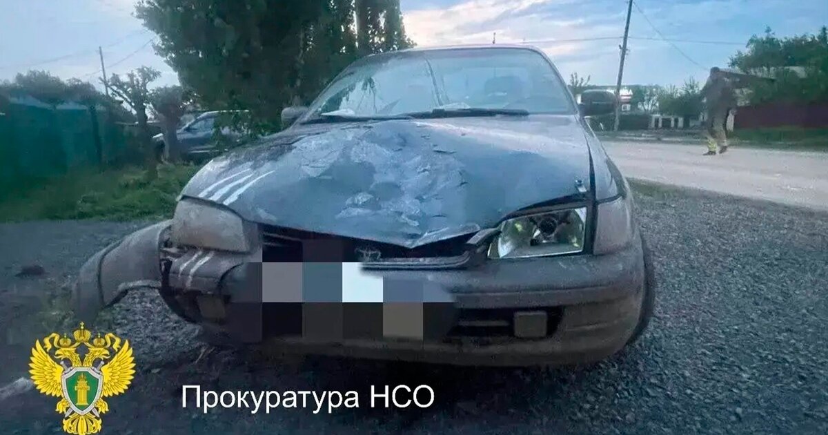 Женщина насмерть сбила ребенка на самокате в Новосибирской области Женщина насмерть сбила ребенка на самокате в Новосибирской области