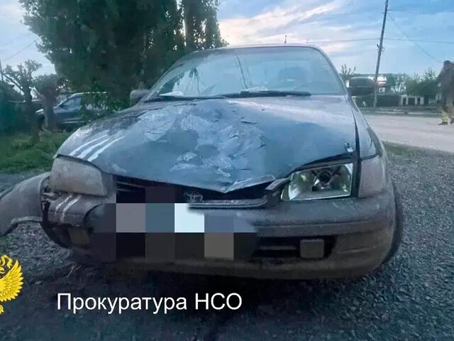 Женщина насмерть сбила ребенка на самокате в Новосибирской о
