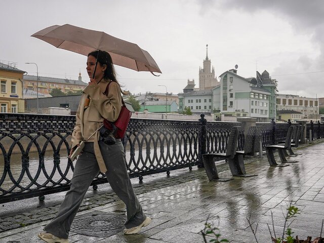 Гроза и сильный ветер накроют Москву в ближайшие часы