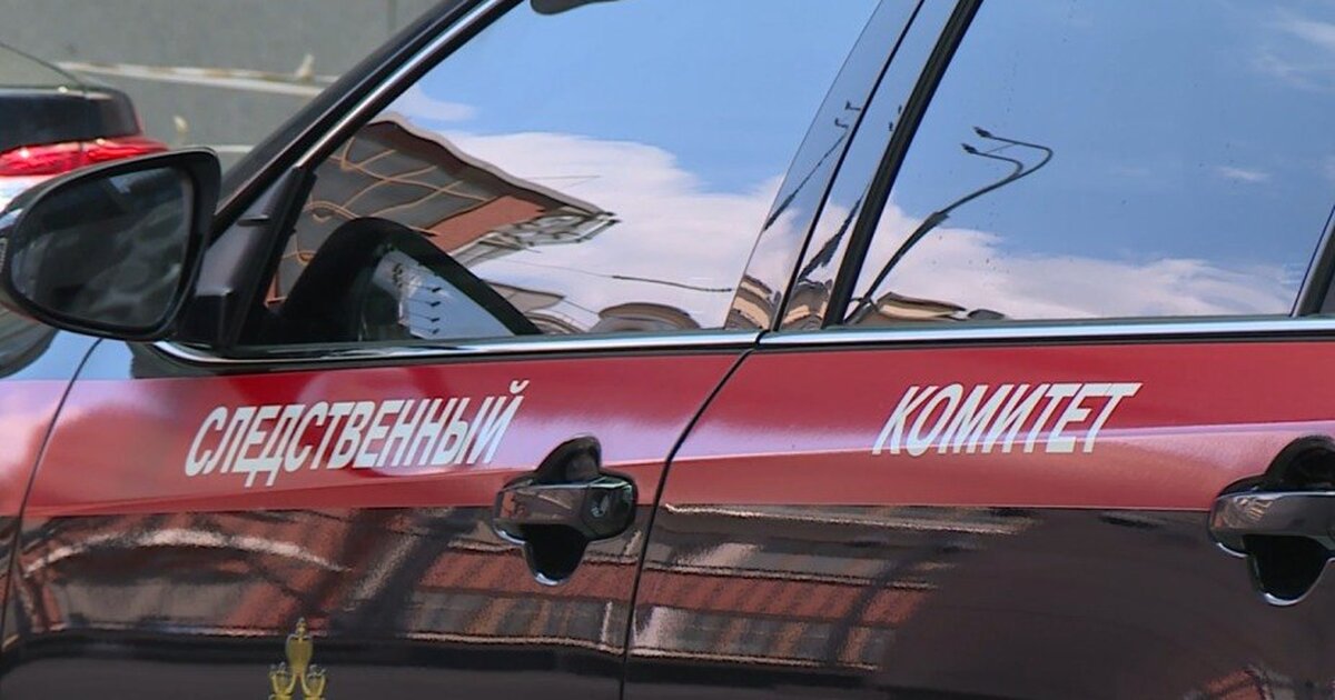 Уголовное дело возбудили после вспышки инфекции в детском лагере под Калининградом